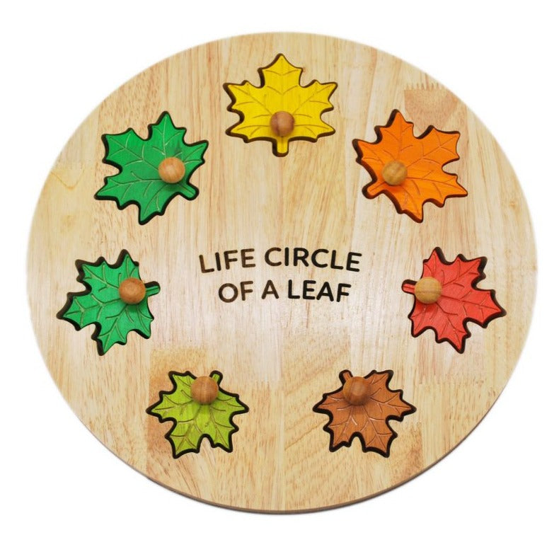 QToys Australia (USA) Leaf Circle Of Life Puzzle